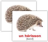 ez_fr_rus_02