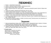 оборот собаки