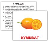 cumkvat-2