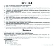 оборот кошка