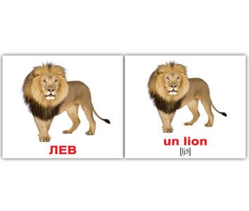 lev_fr_03
