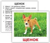 schenok-общая